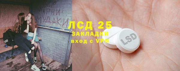 индика Абаза
