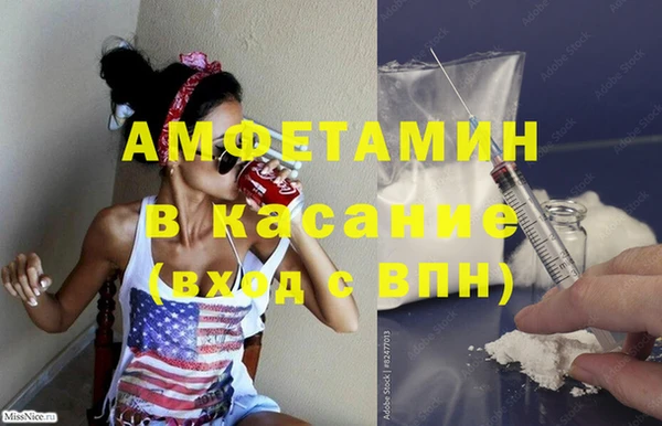 индика Абаза