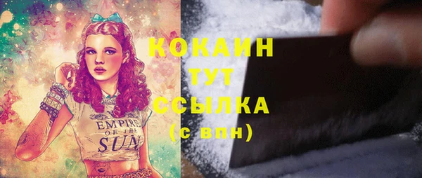 индика Абаза