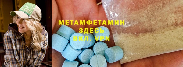 индика Абаза