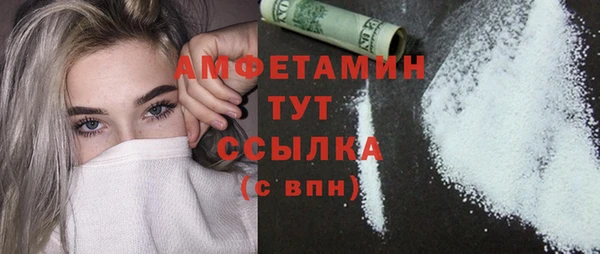 индика Абаза