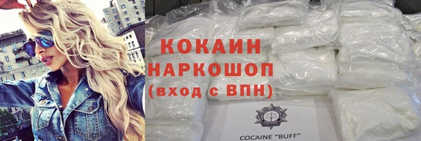 индика Абаза