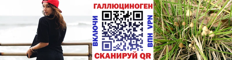 Псилоцибиновые грибы ЛСД  Абинск 
