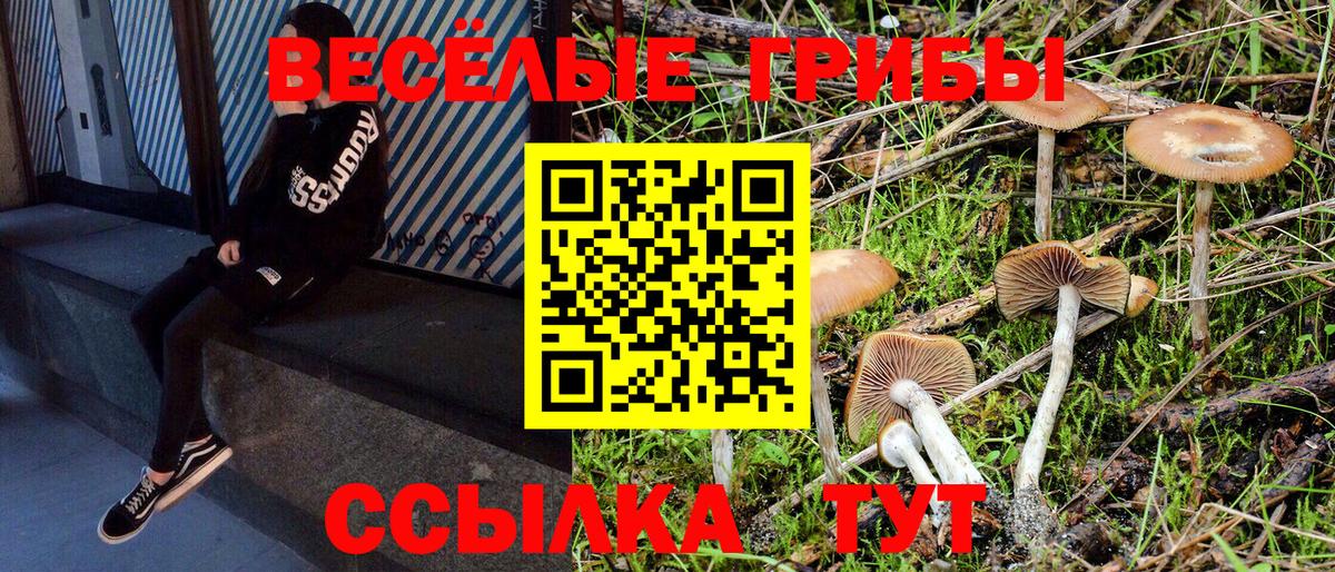 купить  сайты  Галлюциногенные грибы ЛСД  Псилоцибиновые грибы Magic Shrooms  Вход с VPN  Абинск 