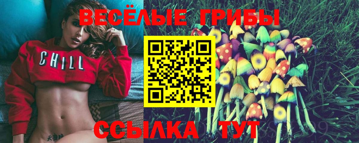 Абинск  Псилоцибиновые грибы Psilocybe  Вход с VPN 